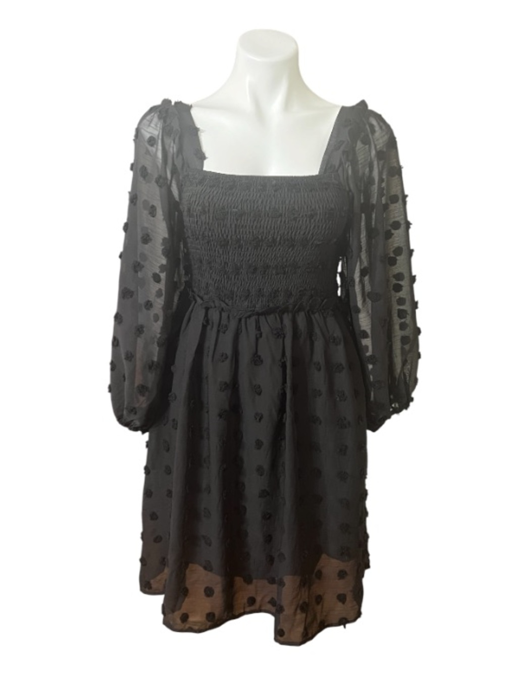 NWT ZCSIA Swiss Dot Smocked Babydoll Dress Black Sheer Gothic Cottagecore S